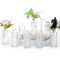 Mozvvco Vase à Fleurs, Set de 8 Petits Vases en Verre Vases Décoratifs,Petits Vases Vintage pour Fleurs, Mini Vases pour Décorer Les Tables, Les Mariages, Les Fêtes et la Maison