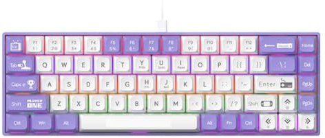 DhnvGCSge AK680 65 Percent Wired Gaming Mechanical Keyboard Hot Swap Compatible With Pc Laptop Custom Keycap Gasket(Purple-Wired)