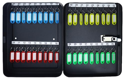 ETUELNOPT Organisateur de clés d'acier, Armoire à clés Murale en Acier, Serrure Combinaison, clé Noire pâle 20/28/36(Black,36-Key)