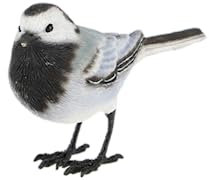 Pflanzen Kölle Eisen-Bachstelze, ca. 8 x 4 x 11 cm