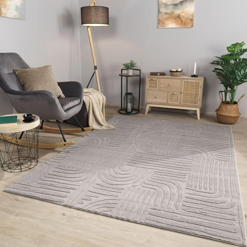 TT Home Wohnzimmer Teppich Esszimmer Kurzflor Geometrische Optik Skandi Boho Unifarben, Farbe:Grau Silber, Größe:120x160 cm