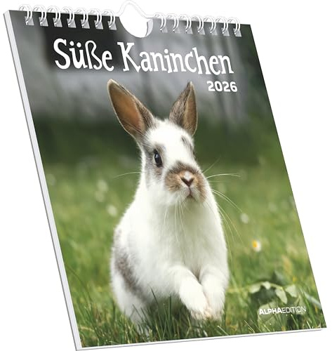 Alpha Edition - Süße Kaninchen 2026 – Postkartenkalender 16×17 cm mit 53 zauberhaften Kaninchenmotiven, FSC-Papier, dekorativer Tisch- & Wandkalender zum Verschicken, Sammeln & Verschenken
