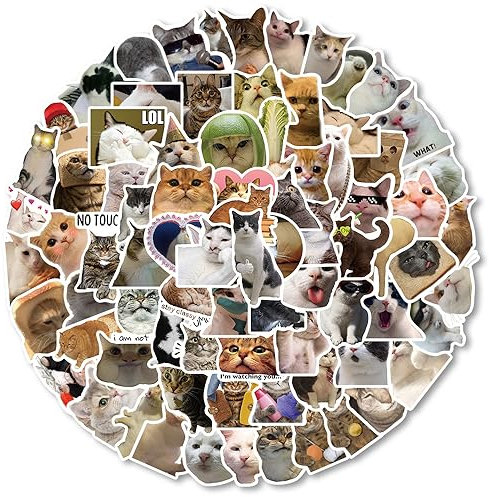 DIWSO 100 Stück Katze Emoticons Aufkleber für Laptop, Snowboard, Koffer, Scrapbook, Skateboard, Gepäck, Graffiti, Teenager, Junge, Mädchen, Wasserdicht