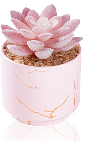 ZENIDA Succulent Artificial Plants,Cute Fake Succulents in 1 Pink Ceramic Pots,Small Fake Plants for Office,Table,Desk,Bathroom, Bedroom,Aesthetic Room Shelves Decor,Desk Decorations for Women Office