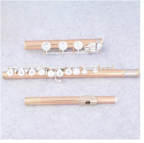 17 Tasten, Offene Löcher, C-Ton, Flöteninstrument, Körper Aus Gold-Silber-Legierung, Versilberte Tasten, Flöte Mit Koffer Querflöte für Anfänger