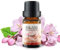 Sayla Ätherische Öle für Diffuser, Aromatherapie Duftöl Geschenk, 100% Naturrein Reines, Lavendel, Eukalyptus, Teebaum, Pfefferminze, Zitrone, Jasmin (10ml) (Lilie und Lotus)