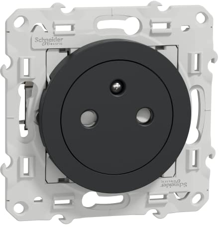 Schneider Electric - Odace - Prise de courant 2P+T affleurante - Anth -avec griffes - S545052