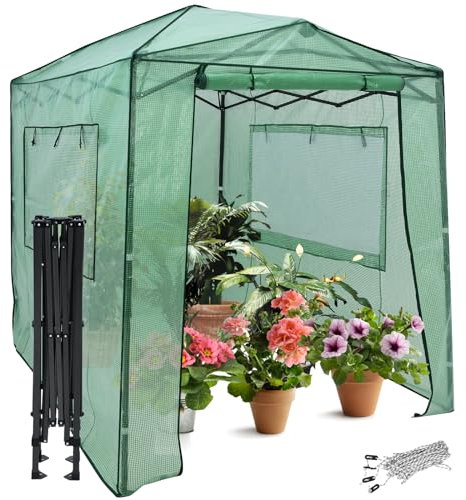 HOMASIS Serra da Giardino Portatile in PE, Serra da Balcone con Porta Avvolgibile e 2 Finestre, Telaio in Ferro, Serra per Piante Invernale, 250x180x230cm, Verde