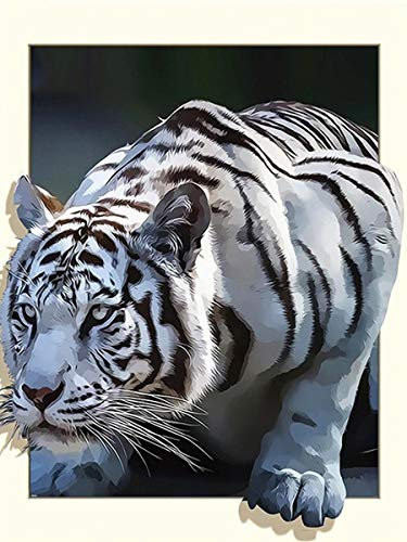 diy 5d diamond painting bilder Ein tiger. ,diamond painting set erwachsene Diamant Gemälde Voller Bohrer Diamonds Painting Kunst Basteln Leinwand für Home Wand-Decor