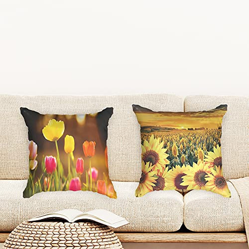 Ulticool - Kissenhülle - Tulpen Blumen Natur Sonnenblume Sonne - Set von 2 Motiven – 45 x 45 cm - Dekokissen ohne Füllung - Kissenbezug Zubehör für Sofa/Bett - Gelb Rosa Orange