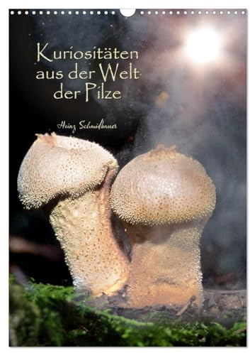 Kuriositäten aus der Welt der Pilze (Wandkalender 2026 DIN A3 hoch), CALVENDO Monatskalender: Kuriose Pilze, bunt und seltsam, meist unbekannt und ... und dennoch faszinierend. (CALVENDO Natur)