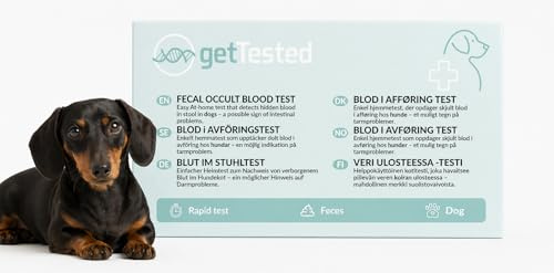 getTested Hund KOT-Test auf verborgenes Blut – Schnelltest für Zuhause – Erkennt Hinweise im Stuhl – Ergebnis in Minuten – Einfach & diskret