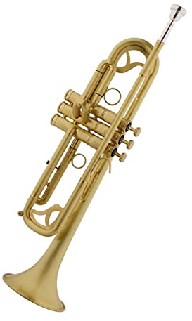 ZUOMU Standard Trompete Set Trompete B-Profi Spielende Trompete Aus Gebürstetem, Lackiertem Gold Trumpets for Beginner Student