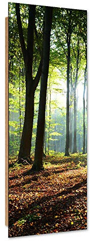 Feeby Dekobild Herbst Deko Wand Kunstdruck Wald Braun 50x150 cm