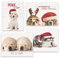 Masterpiece Studios Weihnachtskarten, 16 Stück, sortiert, 4 Stück in 4 verschiedenen Designs, 16 x 12 cm, Welpenliebe