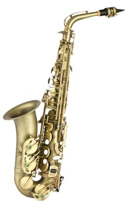 Saxophone Professionnel Altsaxophon Instrument Anfänger Profi Erwachsene Es Gewicht 2,5KG