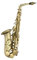 Saxophone Professionnel Altsaxophon Instrument Anfänger Profi Erwachsene Es Gewicht 2,5KG