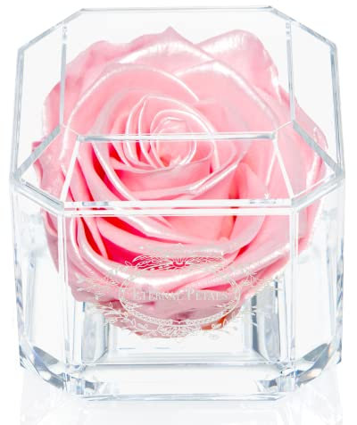 Eternal Petals A 100% Real Rose That Lasts Years, Handmade in UK – White Gold Solo (Pink Satin)