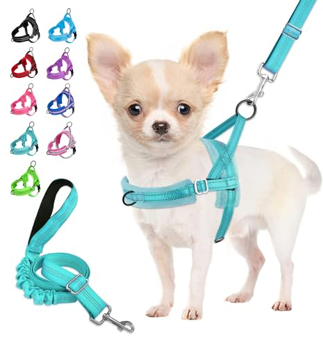 Eyein Hundegeschirr mit Leine für mittelgroße Kleine Hunde, Weich gepolsterter No-Pull Brustgeschirr mit 2 Leinenclips, Leichtgewicht Reflektierend Geschirr Hals und Brust verstellbar (Blaugrün, XXS)