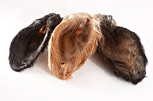 123... Hund dabei! - Kalbs-/Rinderohren mit Muschel und Fell XXL, schonend getrocknet, gut verträglich, natürliche Magen-Darm Reinigung (25)