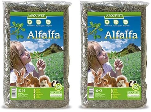 ARQUIVET Alfalfa para roedores 500 gr - Comida para Conejos, cobayas, Hamsters, Chinchillas - Alimentación Natural - Forraje para pequeños mamiferos - Alimento nutritivo Rico en vitaminas y minerales