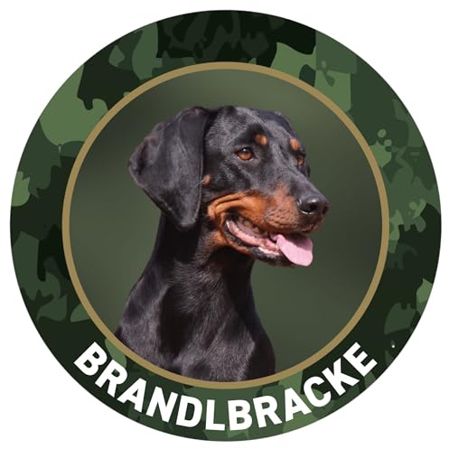 Brandlbracke Jagdhund Premium Hunde Aufkleber - Sticker für Auto, Pkw, Kfz, Kofferraum oder Autoscheibe - mit Hunde und Jagdhundemotiven, Ø 10 cm, Outdoor geeignet - Made in Germany