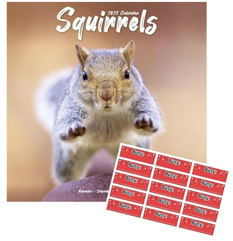 Eichhörnchen Kalender 2021 | Wandkalender quadratisch | 16 Monate | mit Organisationsaufklebern