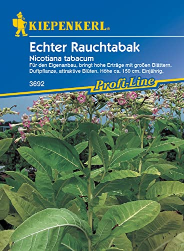 Kiepenkerl 3692 Echter Rauchtabak (Nicotiana tabacum), Rauchtabakernte aus dem eigenen Garten
