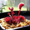 400 Piezas Comprar Plantas Carnívoras, Semillas Atrapamoscas Regalos Para Los Amantes Del Jardín (Dionaea Muscípula) Plantas Resistentes En Macetas Plantas Suculentas, Semillas De