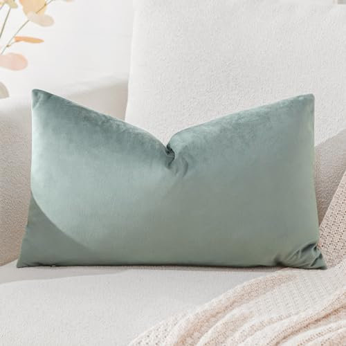 Artscope Samt Kissenbezug Kissenhülle Dekorative Dekokissen Sofakissen Lendenkissen Wurfkissenbezug Sofa Schlafzimmer 40x60cm Hellgrau