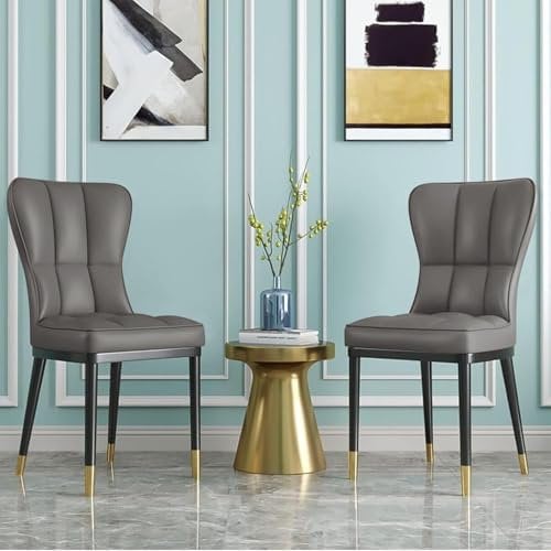 200KG Belastbar Esszimmerstühle 2Er Set, Kunstleder Stühle Esszimmer(8cm dick), Einteiliger Metallbeinen Küchenstühle Mit Lehne, Leichter Luxus-Polsterstuhl Fü Küche Esszimmer Wohnzimmer