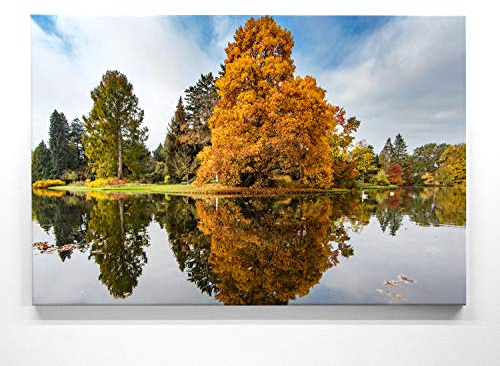 Atemberaubendes Leinwandbild Wald im XXL Format 120x80cm. Das Motiv Buche im Herbst als großes Wandbild. Fertig aufgespannt auf Holzrahmen. Als Hintergrund und Deko für Wohnzimmer & Schlafzimmer