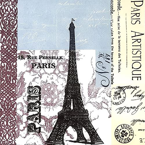 Zelten 2-Lagen 20 Count farbigen Papier Servietten Shabby Chic Servietten für Hochzeit Abendessen Tee Party Dekoration D (Pariser Kunsthandwerk, 1)