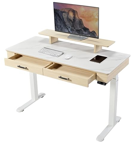 EUREKA ERGONOMIC Electric Standing Desk w Slate Desktop 140x60cm Large Height Adjustable Sit Stand Desk Luxury Home Office Desk with with Double Drawers, Monitor Shelf