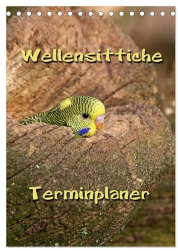 Wellensittiche Terminplaner (Tischkalender 2026 DIN A5 hoch), CALVENDO Monatskalender: Muntere und freche Vögel (CALVENDO Tiere)