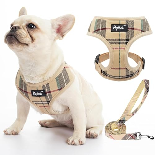 PUPTECK Dog Harness Small Dog Soft Mesh Pet Puppy Cat Comfort Padded Vest No Pull Harnesses and Lead Set