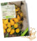 BIO Tomatensamen (Yellow Submarine, 10 Korn) - Tomaten Saatgut aus biologischem Anbau ideal für die Anzucht im Garten, Balkon oder Terrasse