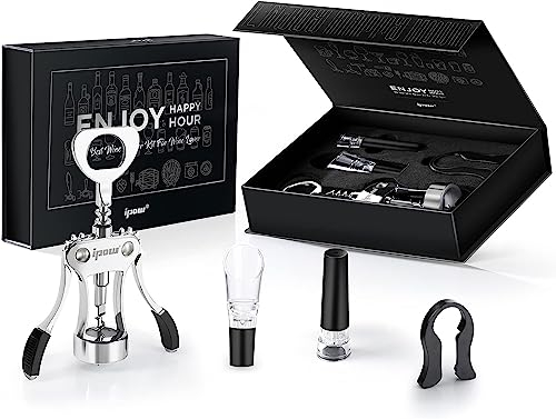 IPOW Tire-Bouchon/Décapsuleur à Ailette/Ouvre-Bouteille 4 en 1 avec Coffret, Accessoires de Vin avec Coupe-Capsule, Verseur-Aérateur, Bouchon à Vide pour Amateurs de Vins – Argent