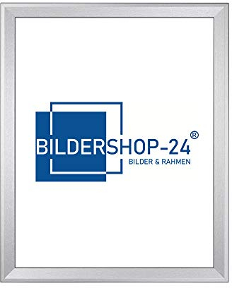 Bilderrahmen Prio 80x100cm Alu geschliffen(Dekor)