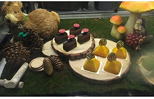 Veemoon Rasenteppich Outdoor Landschaft Kaffeegrüner Rasen Teppich -Heimmikromatte Zoll Hinterhof Synthetischer Quadratischer Garten Konservierter Rasen X Natürliche Geeignete Aquarium