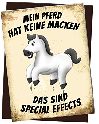 Kühlschrankmagnet mit weißes Pferd Motiv und Spruch: Mein Pferd hat Keine Macken das sind Special Effects