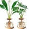 CDIYTOOL 2 stazioni di propagazione delle piante, vaso in vetro trasparente per coltura idroponica, terrario con coperchio in legno, decorazione per casa e ufficio idroponico