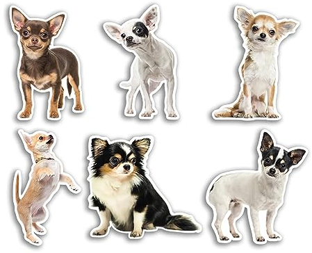 6 x 10 cm Chihuahua Vinyl Aufkleber – Hund Welpen Tier Lustiges Muster Natur Haustiere Gesicht Wild Mädchen Jungen Reise Scrapbooking #80806