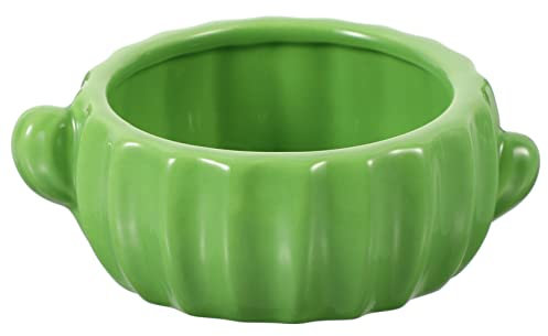 Kisangel Cactus Hamster Bowl and Food Dish Waterproof Ceramic Pet Feeding Bowl Cute Cat Food Plates for Hamsters Chinchillas and Small Animals