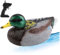 Barco de Control Remoto 13x6x6 '' Barco de plástico Impermeable de plástico RC de con Doble propulsor Automático de Apagado por Encima de Agua de Pato de Agua para Regalos de Piscina de Esta