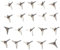 Tsffae Pointes De Crevaison Légères pour Pneus Automobiles, 20 Pièces, Anti-vol, Triangle Automobile, Clous De Crevaison pour Pneus De Voiture