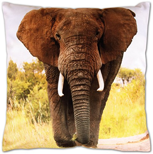 Bestlivings Kissenbezug mit Fotodruck 40x60cm, Flauschig weiche Kissenhülle, Bezug mit Reißverschluss, ideal für Dekokissen (Design: Elefant/Elefant)