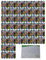 120 Stück FIGO professional Kinder-Pflaster + varivendo Notizblock (120x Dino)