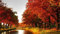Adult 5000 Piece Jigsaw Puzzle Maple Leaf Puzzle Jigsaw Puzzle Games for Kids Toys