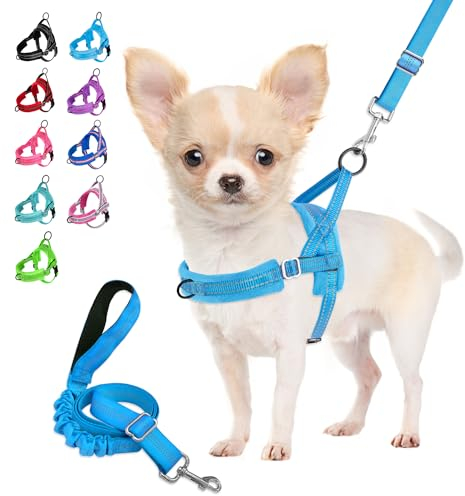 Eyein Hundegeschirr mit Leine für mittelgroße Kleine Hunde, Weich gepolsterter No-Pull Brustgeschirr mit 2 Leinenclips, Leichtgewicht Reflektierend Geschirr Hals und Brust verstellbar (Hellblau, S)